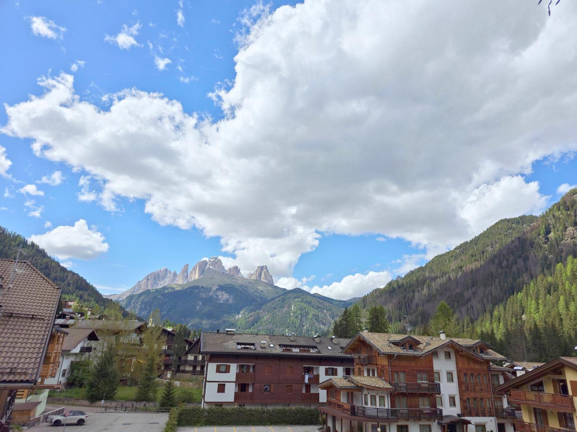 Residence Villa Flora By Ama Val Di Fassa カナツェーイ エクステリア 写真
